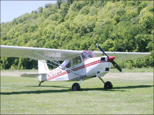 Bellanca Scout